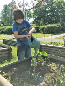 Pracovní výchova, pěstitelské práce – červen 2021