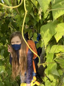 Návštěva žáků specializovaných tříd v botanické zahradě - říjen 2022